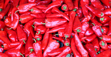 Red hot chili peppers in Jean Talon market Montreal Quebec Canada
