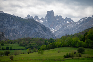 Obraz premium Panoramic view on Naranjo de Bulnes or Picu Urriellu, limestone peak dating from Paleozoic Era, located in Macizo Central region of Picos de Europa, mountain range in Asturias, North Spain
