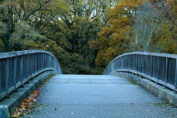 bridge over an urban landscape in autumn
