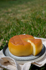Spanish smoked cheese from Pria, made by rural dairy farmers in Asturias, Spain from pasteurized cow’s milk or blended with goat or sheep milk in Picos de Europa. View on cows and pasture.