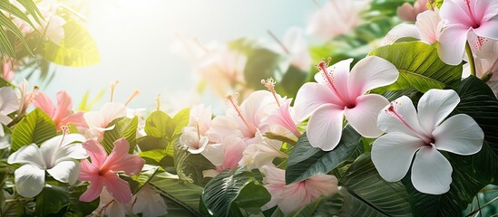 In the beautiful spring garden surrounded by vibrant greenery the white and pink flowers with their mesmerizing floral patterns add a touch of tropical beauty to the scenery creating a color