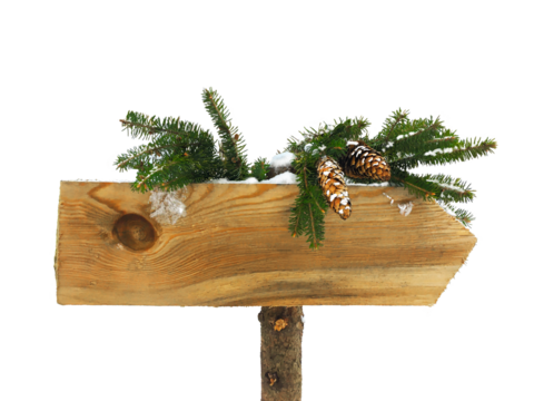 Isolated empty wooden board sign with a Christmas tree branch. Christmas and New Year concept.