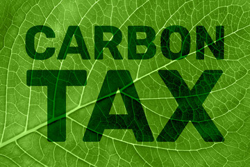 Carbon Tax on a Green Leaf