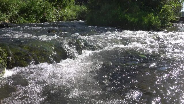 kleine Stromschnellen im klaren Wasser der Erft bei Weilerswist