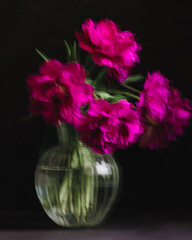 bouquet of dark red lilac tulips in glass vase on dark background. flower bouquet in vase on table. Gift interior decoration. florist, decorator. Flower shop.