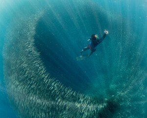 Swimming in a school of sardines in the Philippines 