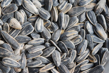 close up of sunflower seeds - obrazy, fototapety, plakaty