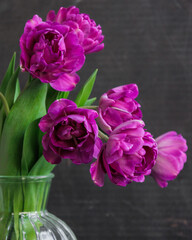bouquet of dark red lilac tulips in glass vase on dark background. flower bouquet in vase on table. Gift interior decoration. florist, decorator. Flower shop.