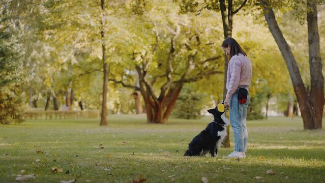 Female expert requests dog to fetch vibrant frisbee in park