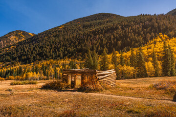 Ashcroft Ghost Town Cabin in Colorado with Peak Fall Colors