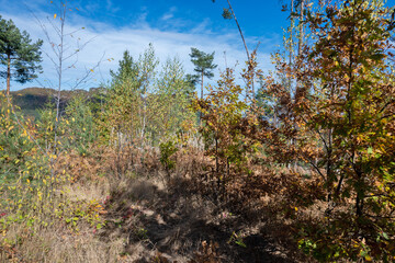 Autumn view of ancient sanctuary Belintash, Bulgaria