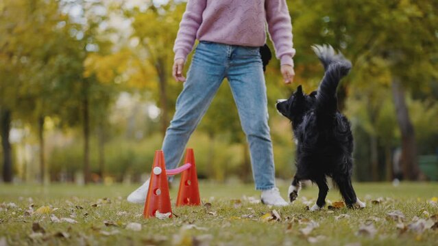 Female dog handler teaches commands to control dog behavior