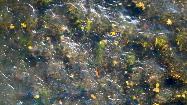 Aerial view of the Bobr River in Poland
