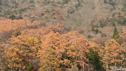 Lake Chuzenji in autumn