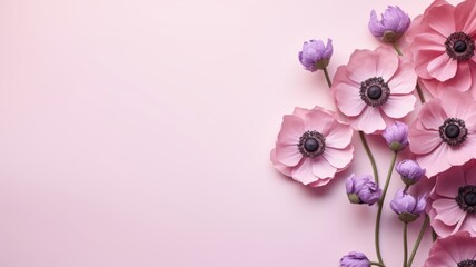 Fototapeta na wymiar Anemone flowers on background isolated with copy space.
