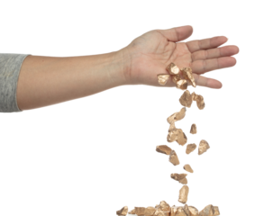 Gold ore nugget fall from industrial Miner hand fingers. Many pieces Golden nugget ore stone gravel found in hand of gold Mining industry. White background Isolated throwing freeze stop motion