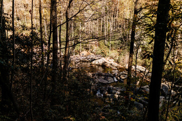 Beautiful high waterfall among the colorful autumn forest. Landscape with a mountain river and a waterfall on a sunny fall day. Whitewater Falls, South Carolina, USA