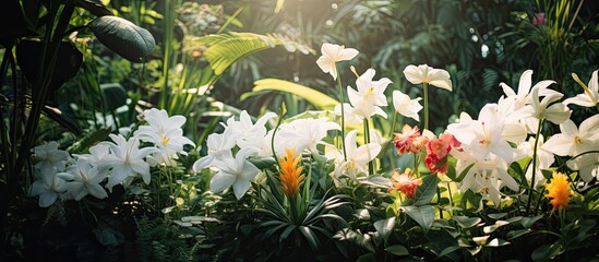 In the lush tropical garden the background was adorned with vibrant green leaves blooming flowers and the radiant colors of nature emphasizing the beauty of the summer season with its delic