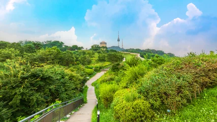Photo sur Aluminium Ciel bleu Namsan Park, Seoul, South Korea. A beautiful public natural landmark near N-Seoul Tower