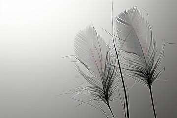 An abstract background image for creative content featuring two feathers in black and white, offering a minimalist and versatile canvas for artistic expression. Photorealistic illustration