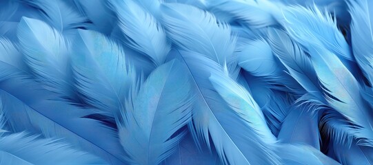 An abstract background image in wide format, displaying blue feathers, offering a canvas for artistic expression with a sense of serenity and color contrast. Photorealistic illustration