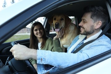 Happy couple and dog in car. Traveling with pet