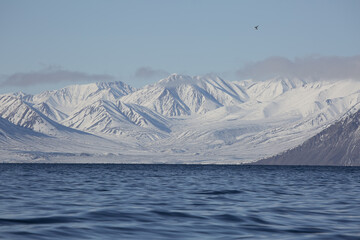 greath north, Pond Inlet