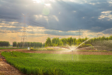 Irrigation farmland， Water-saving devices irrigate fields