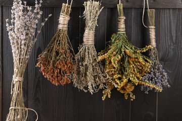 Bunches of different dry herbs hanging on wooden background