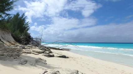 Foto op Plexiglas White soft sand and  clear turquoise water of a secluded beach on North Bimini, Bahamas © Mary Baratto