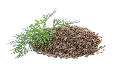 Heap of dry seeds and fresh dill isolated on white