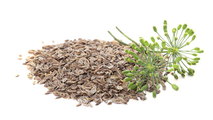 Heap of dry seeds and fresh dill isolated on white