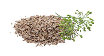 Heap of dry seeds and fresh dill isolated on white