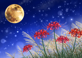 彼岸花と夜空　背景素材　十五夜　お月見　ヒガンバナ　曼珠沙華