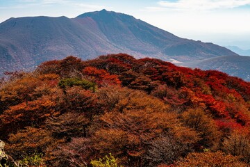 三俣山の紅葉