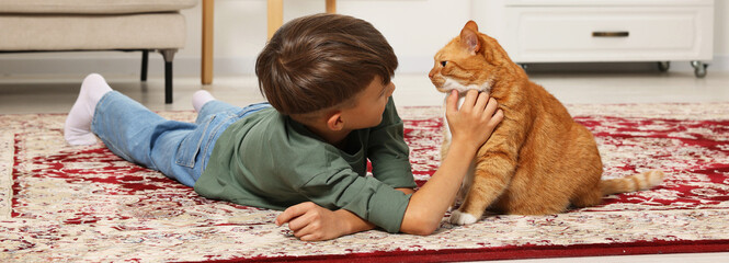 Little boy petting cute ginger cat on carpet at home. Banner design