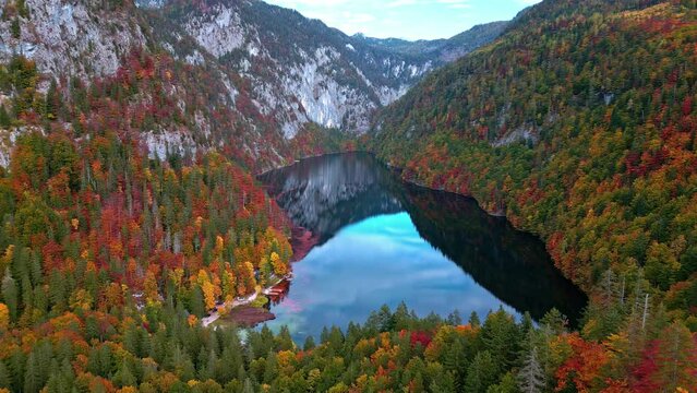Calm Water With Red Orange Autumnal Forest In Lake Toplitz, Austria. Aerial Wide Shot