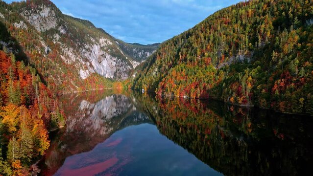 Mirror Reflections Of Autumn Dense Forest Over Lake Toplitz In Austria. Wide Shot