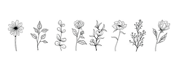 Set of hand drawn decorative elements. Vector illustration