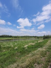Rolling Clouds over Pylypow Wetlands in Late Spring