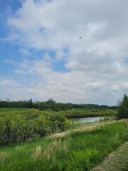 Rolling Clouds over Pylypow Wetlands in Late Spring