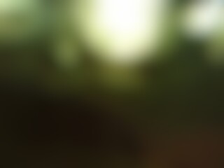 Abstract blurred background image of green color gradient used as an illustration. Designing posters or advertisements.