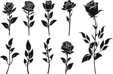 Rose flower in silhouette style. Vector, sticker, solid black silhouette image on white background,
