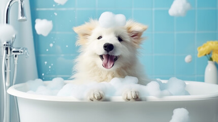 Fototapety  dog in bathroom