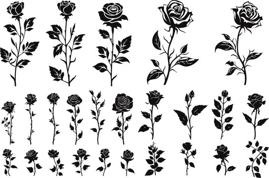 Rose flower in silhouette style. Vector, sticker, solid black silhouette image on white background,