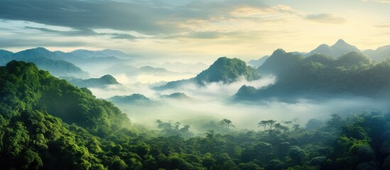 In the morning as the fog cleared a magnificent green landscape emerged revealing towering mountains lush forests and a breathtaking jungle creating the perfect background for an immersive  - obrazy, fototapety, plakaty
