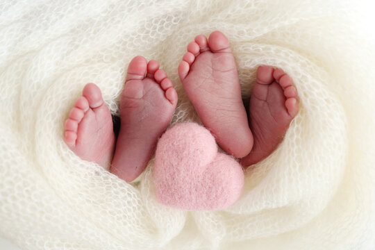 Feet of newborn twins. Two pairs of baby feet in a white knitted blanket. Pink knitted heart. Close up - toes, heels and feet of a newborn. Newborn brothers, sisters. Studio macro photography. 