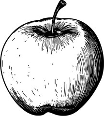 Food Apple Vintage Outline Icon In Hand-drawn Style