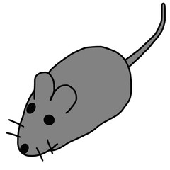mouse, rat, animal, mammal, cat toy