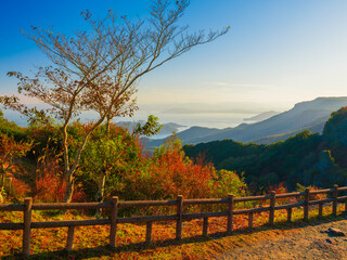 Obraz premium 山が紅葉してきた秋の山頂 小豆島 寒霞渓